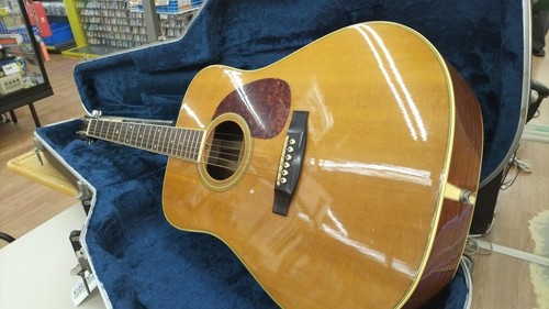Guitare acoustique électrique