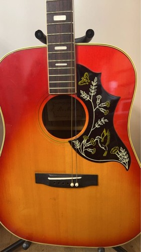 Guitare acoustique pro - guitare,